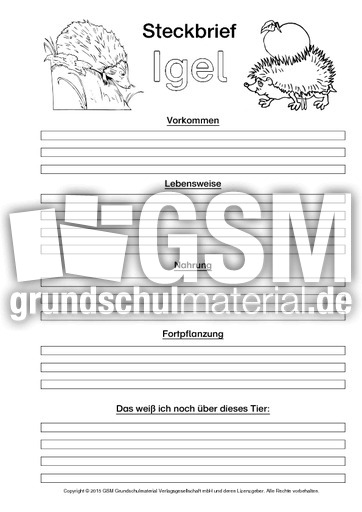 Igel-Steckbriefvorlage-sw-1.pdf